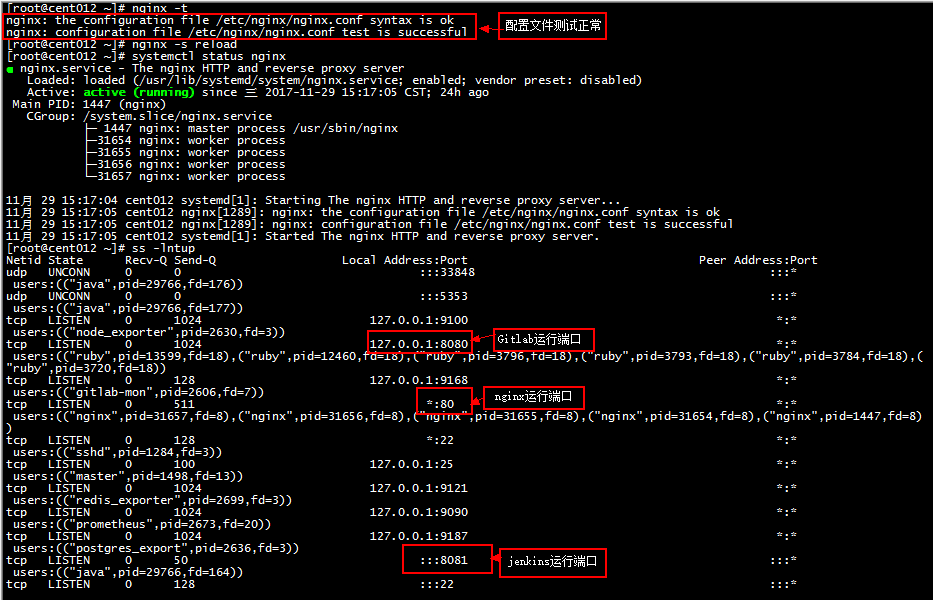 nginx配置测试状态